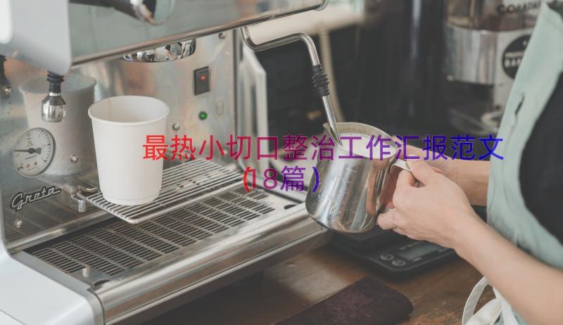 最热小切口整治工作汇报范文（18篇）