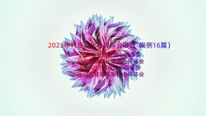 2023年村级文化心得体会报告（案例16篇）