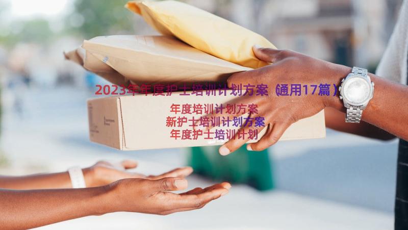 2023年年度护士培训计划方案（通用17篇）