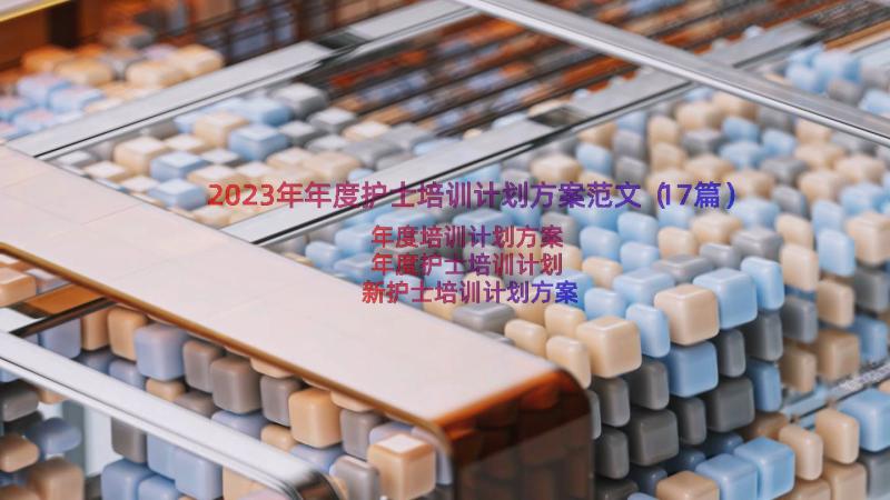 2023年年度护士培训计划方案范文（17篇）