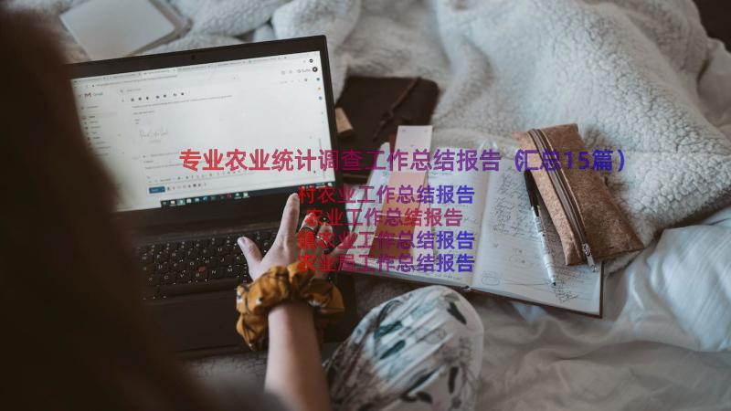 专业农业统计调查工作总结报告（汇总15篇）