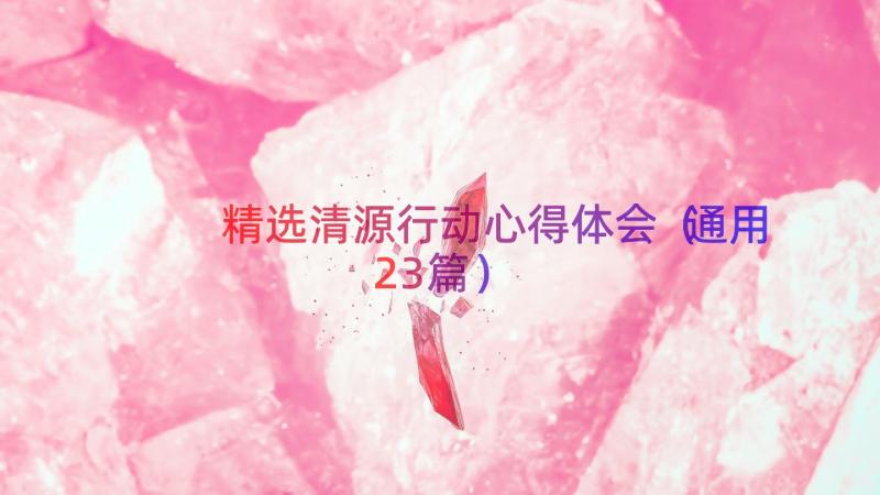 精选清源行动心得体会（通用23篇）