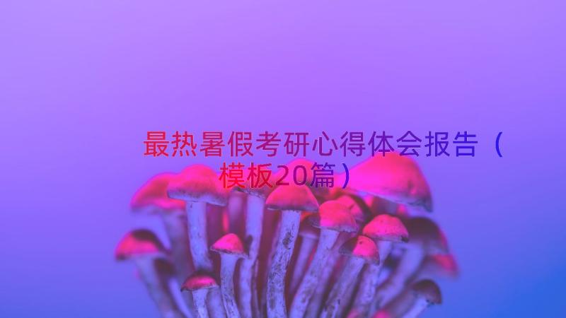 最热暑假考研心得体会报告（模板20篇）