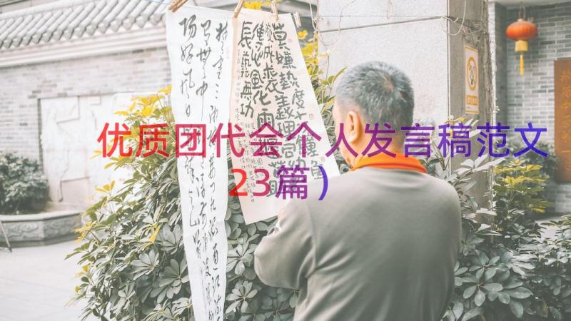 优质团代会个人发言稿范文（23篇）