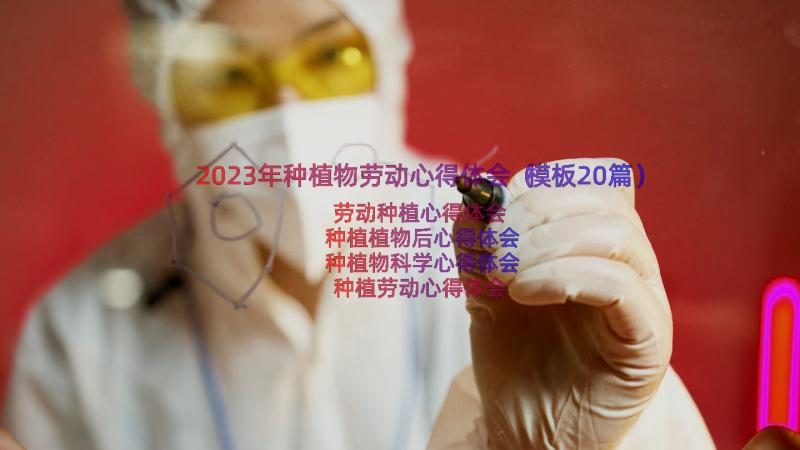 2023年种植物劳动心得体会（模板20篇）