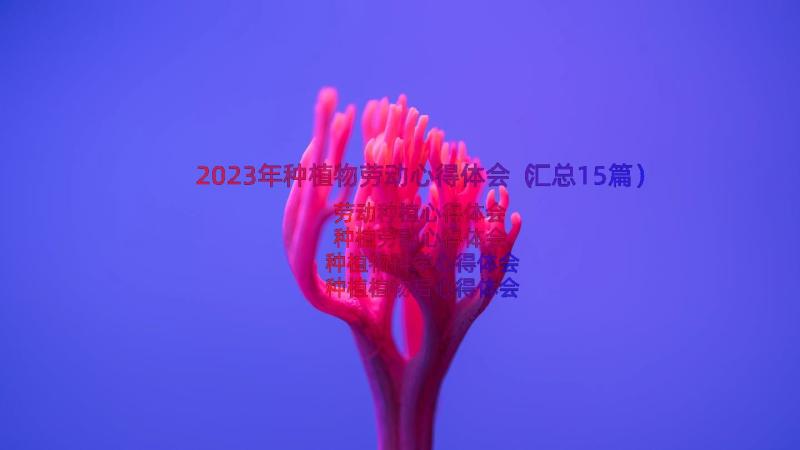 2023年种植物劳动心得体会（汇总15篇）