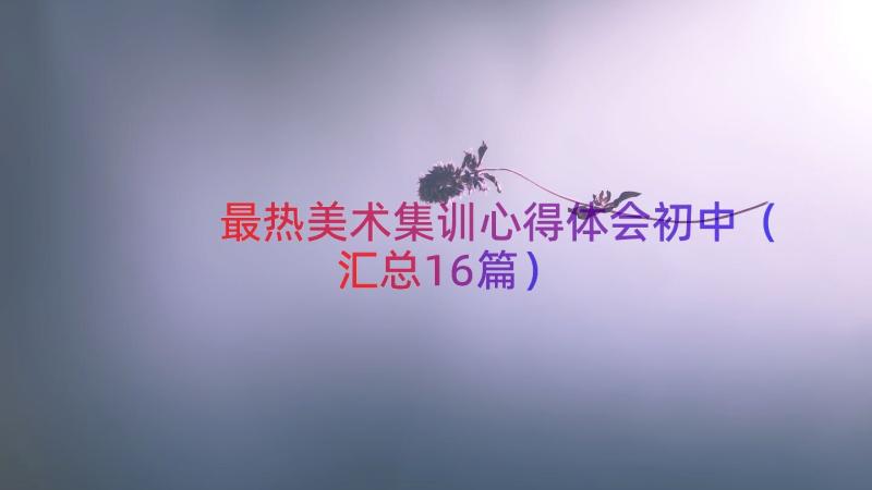 最热美术集训心得体会初中（汇总16篇）