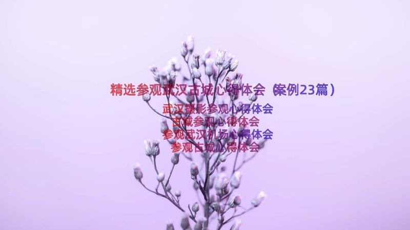 精选参观武汉古城心得体会（案例23篇）