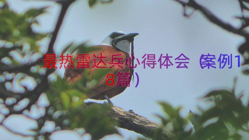 最热雷达兵心得体会（案例18篇）