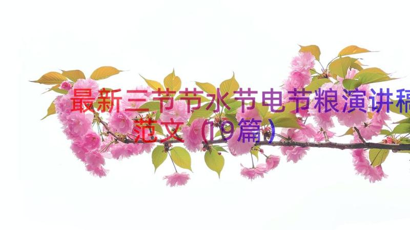 最新三节节水节电节粮演讲稿范文（19篇）