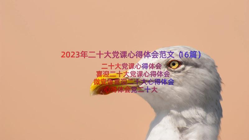 2023年二十大党课心得体会范文（16篇）