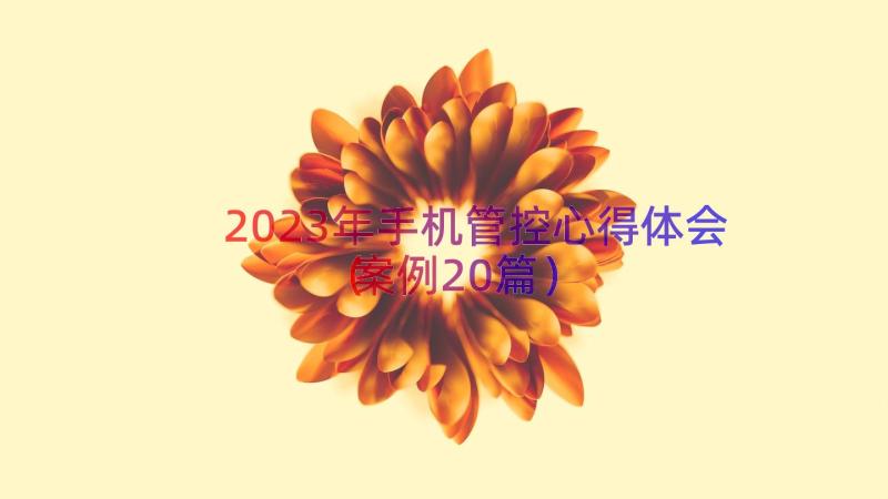 2023年手机管控心得体会（案例20篇）