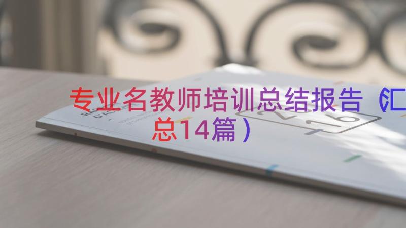 专业名教师培训总结报告（汇总14篇）