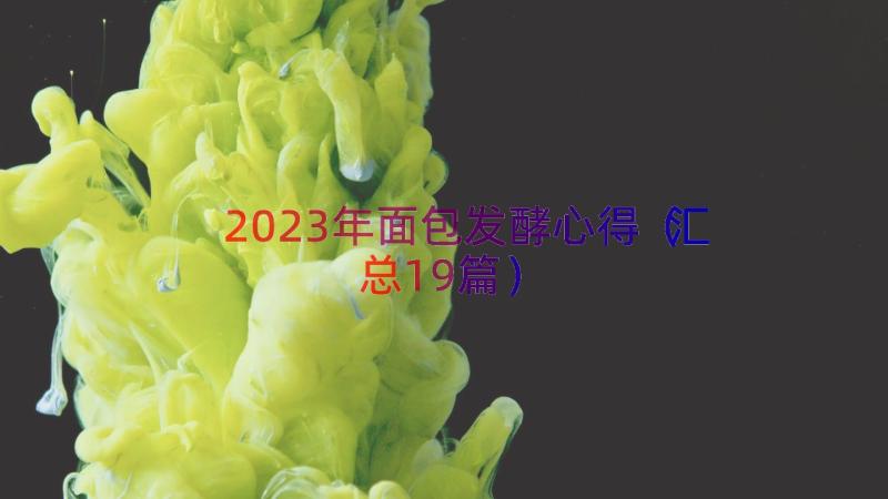 2023年面包发酵心得（汇总19篇）