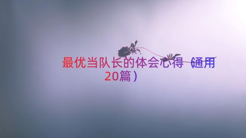 最优当队长的体会心得（通用20篇）