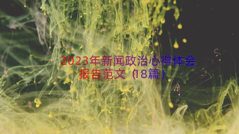 2023年新闻政治心得体会报告范文（18篇）