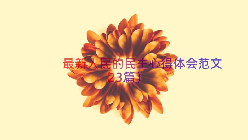 最新人民的民主心得体会范文（23篇）