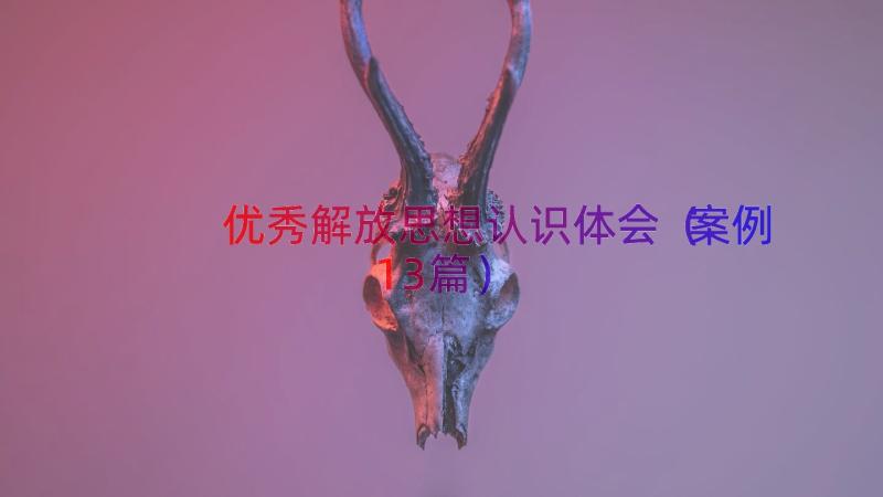 优秀解放思想认识体会（案例13篇）