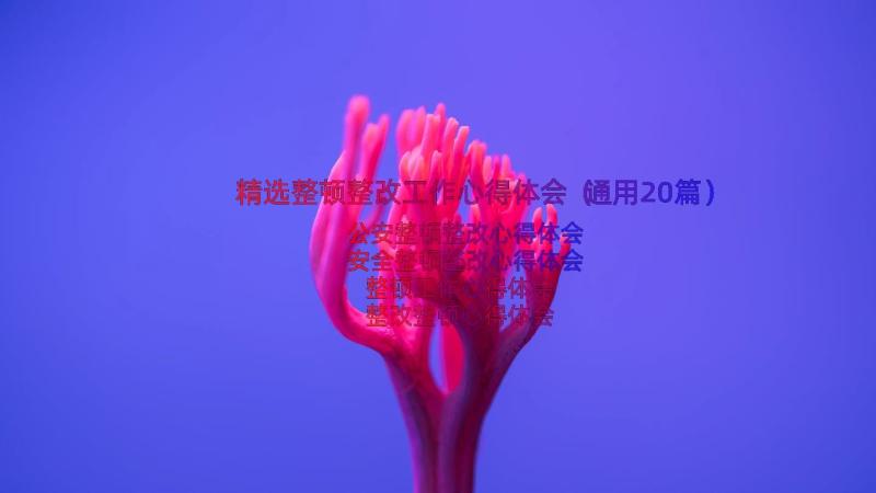 精选整顿整改工作心得体会（通用20篇）