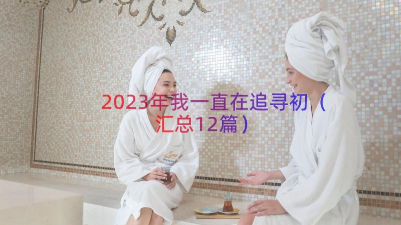 2023年我一直在追寻初（汇总12篇）