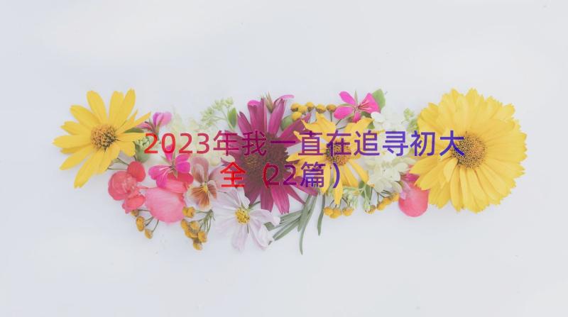 2023年我一直在追寻初大全（22篇）