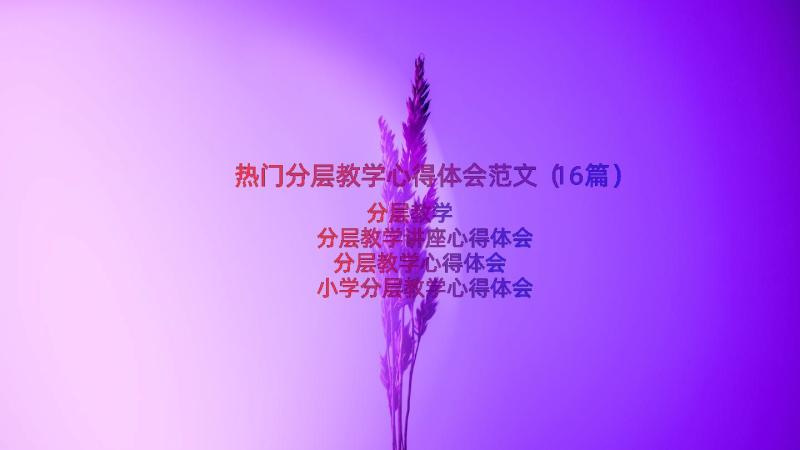 热门分层教学心得体会范文（16篇）