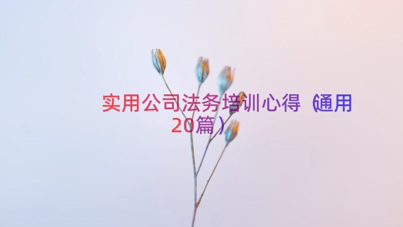 实用公司法务培训心得（通用20篇）