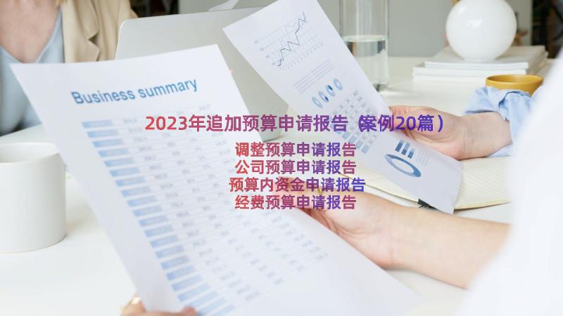 2023年追加预算申请报告（案例20篇）