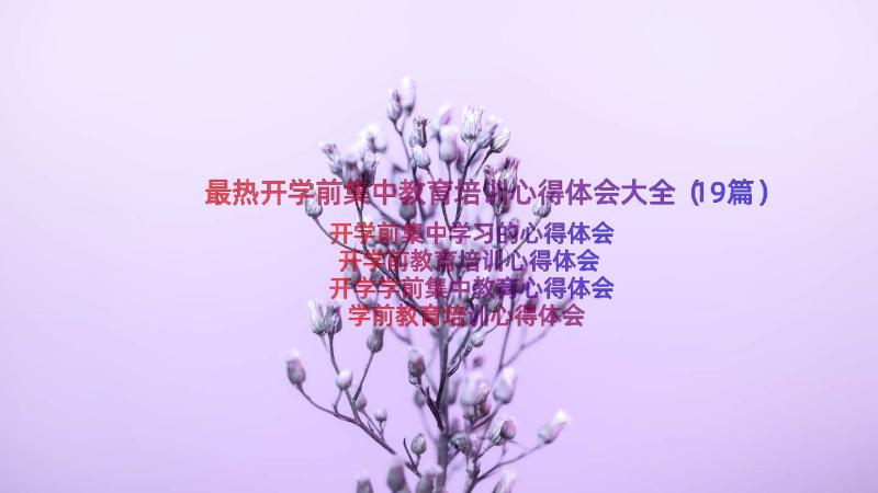 最热开学前集中教育培训心得体会大全（19篇）