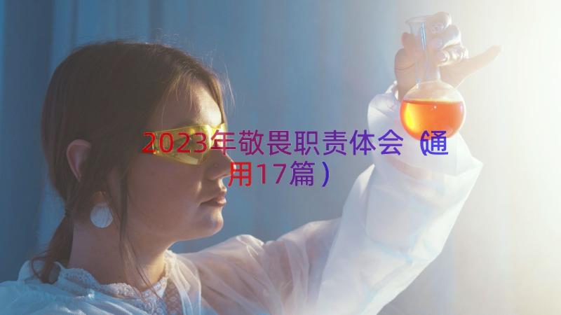 2023年敬畏职责体会（通用17篇）