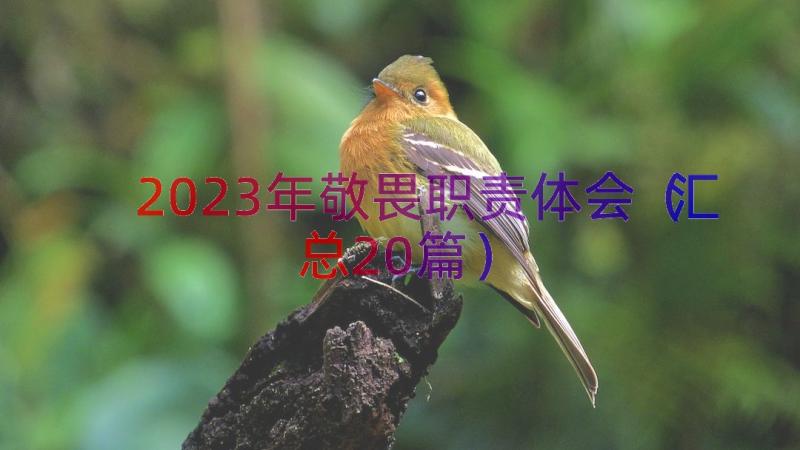 2023年敬畏职责体会（汇总20篇）