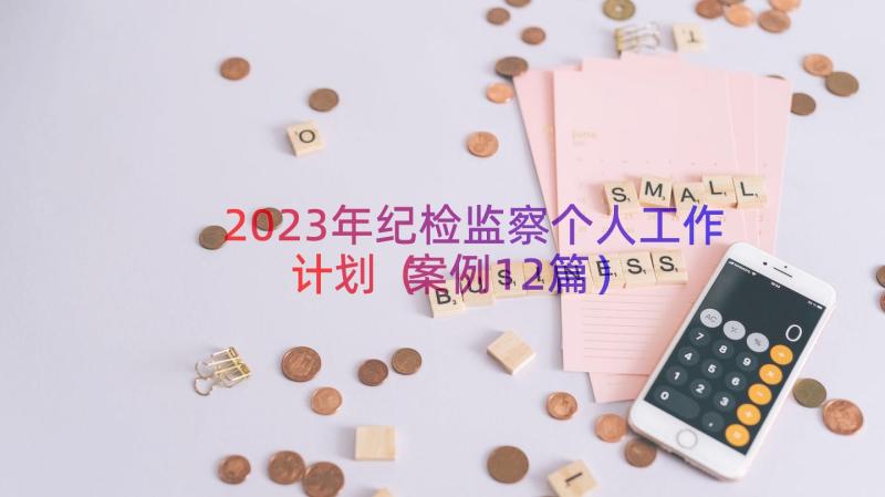 2023年纪检监察个人工作计划（案例12篇）