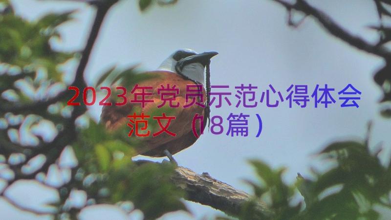 2023年党员示范心得体会范文（18篇）