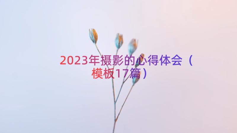 2023年摄影的心得体会（模板17篇）