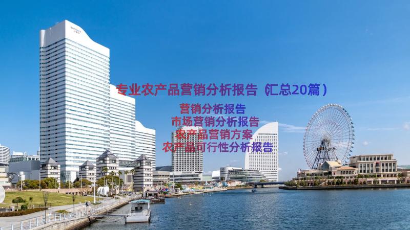 专业农产品营销分析报告（汇总20篇）