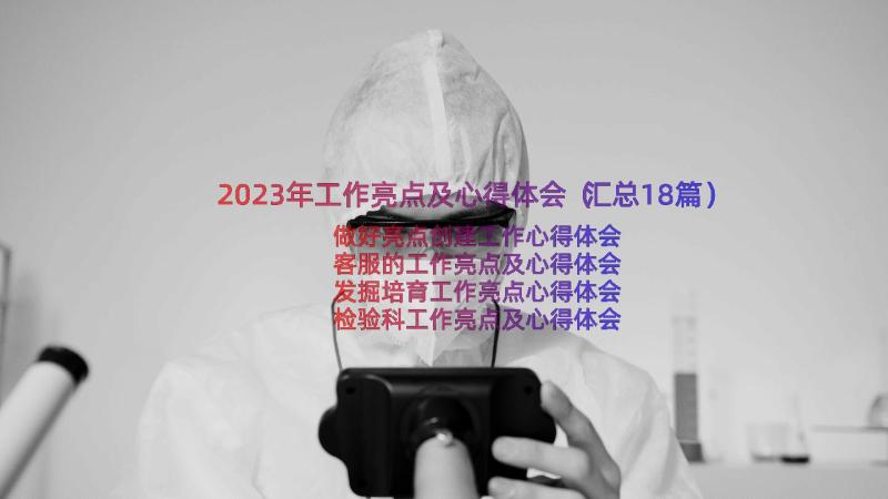 2023年工作亮点及心得体会（汇总18篇）