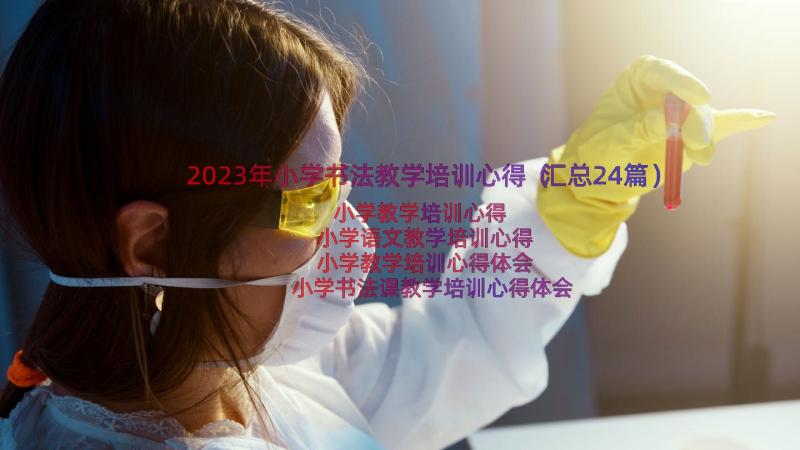 2023年小学书法教学培训心得（汇总24篇）