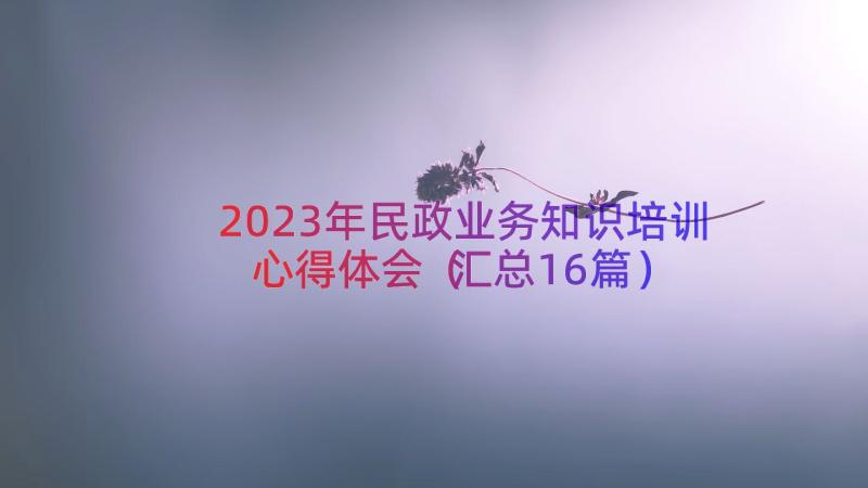 2023年民政业务知识培训心得体会（汇总16篇）