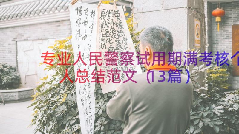 专业人民警察试用期满考核个人总结范文（13篇）