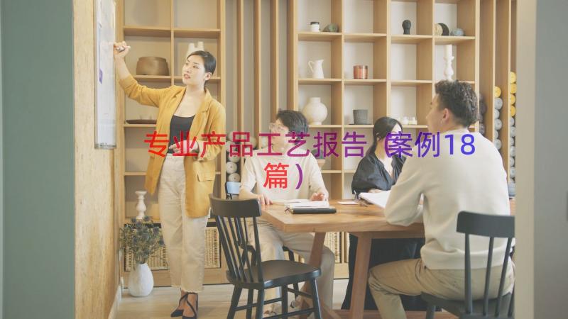 专业产品工艺报告（案例18篇）