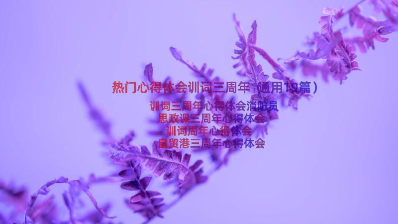 热门心得体会训词三周年（通用19篇）