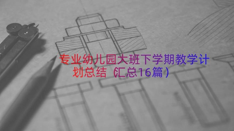 专业幼儿园大班下学期教学计划总结（汇总16篇）