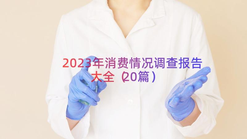 2023年消费情况调查报告大全（20篇）