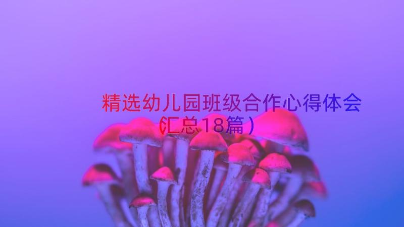 精选幼儿园班级合作心得体会（汇总18篇）