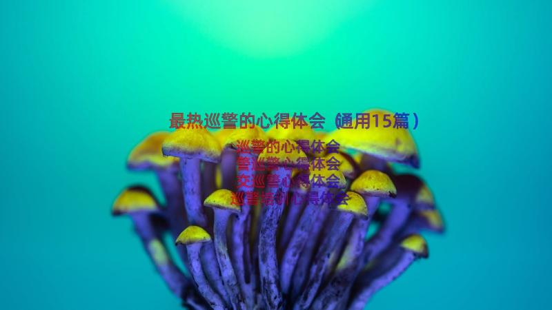 最热巡警的心得体会（通用15篇）