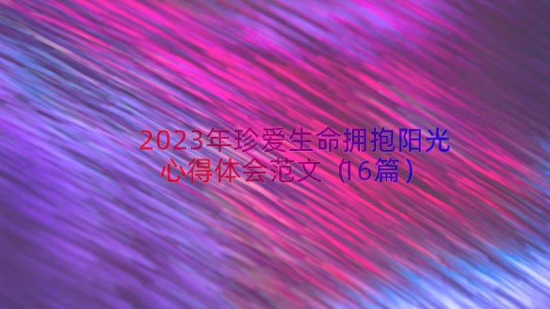 2023年珍爱生命拥抱阳光心得体会范文（16篇）