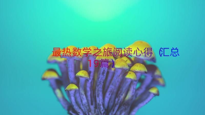 最热数学之旅阅读心得（汇总19篇）