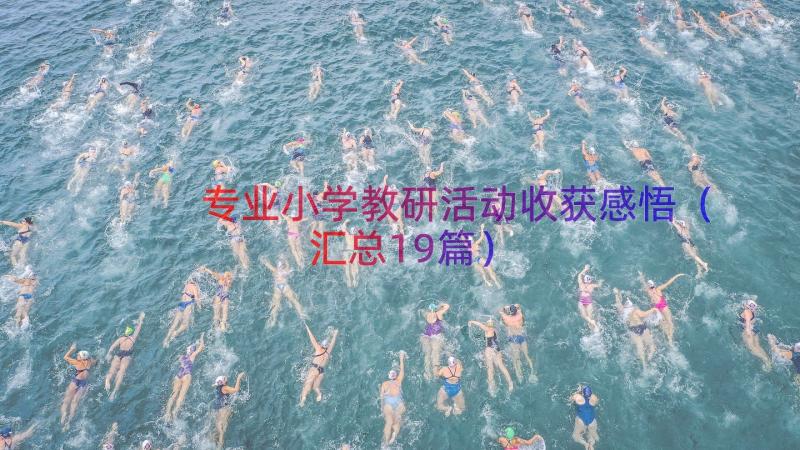 专业小学教研活动收获感悟（汇总19篇）