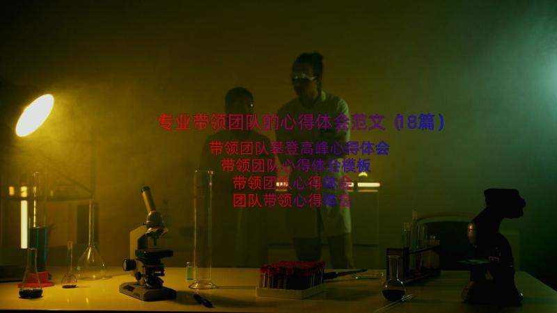 专业带领团队的心得体会范文（18篇）