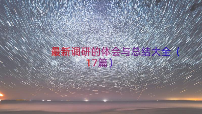 最新调研的体会与总结大全（17篇）